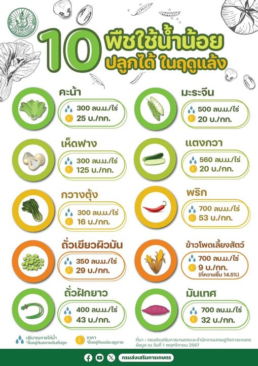 10 พืชใช้น้ำน้อย ปลูกได้ในฤดูแล้ง