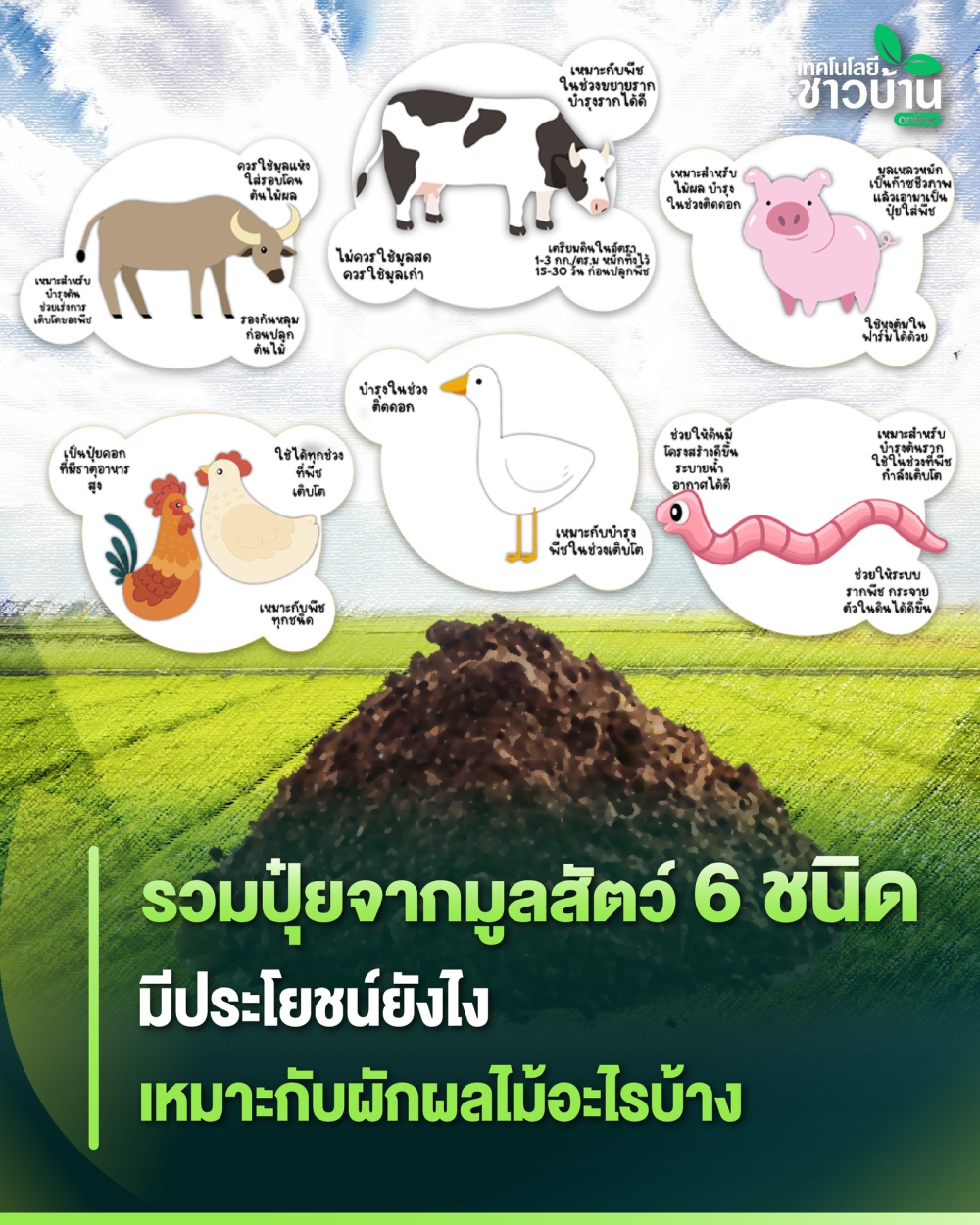 ปุ๋ยเคมีแพงหันมาใช้ปุ๋ยอินทรีย์กันดีกว่า