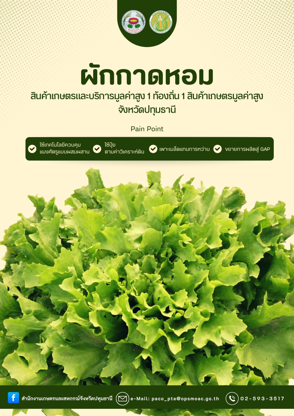 ผักกาดหอมปทุมธานี