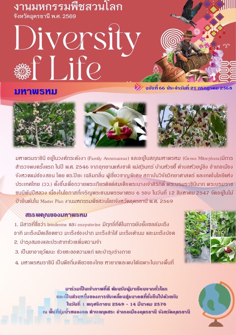 ร่วมกันเป็นเจ้าภาพที่ดี