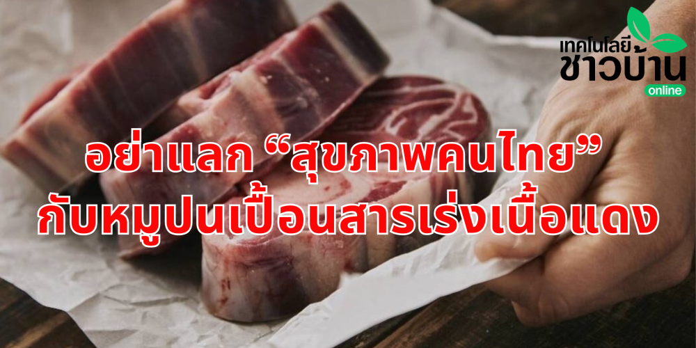 เตือนภัยหมูปนเปื้อนสารเร่งเนื้อแดง