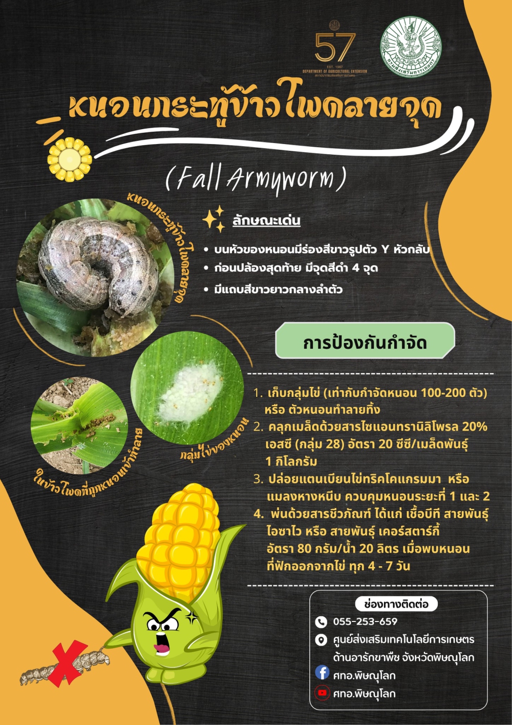 หนอนกระทู้ข้าวโพดลายจุด