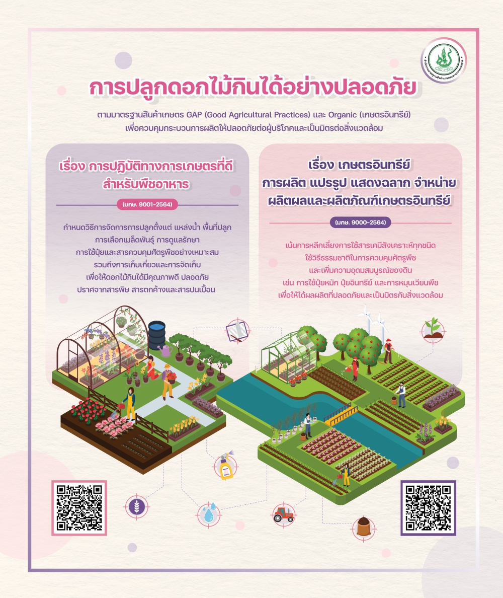 การปลูกดอกไม้กินได้อย่างปลอดภัย