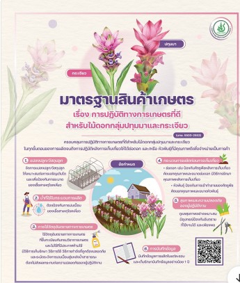 มาตรฐานสินค้าเกษตร