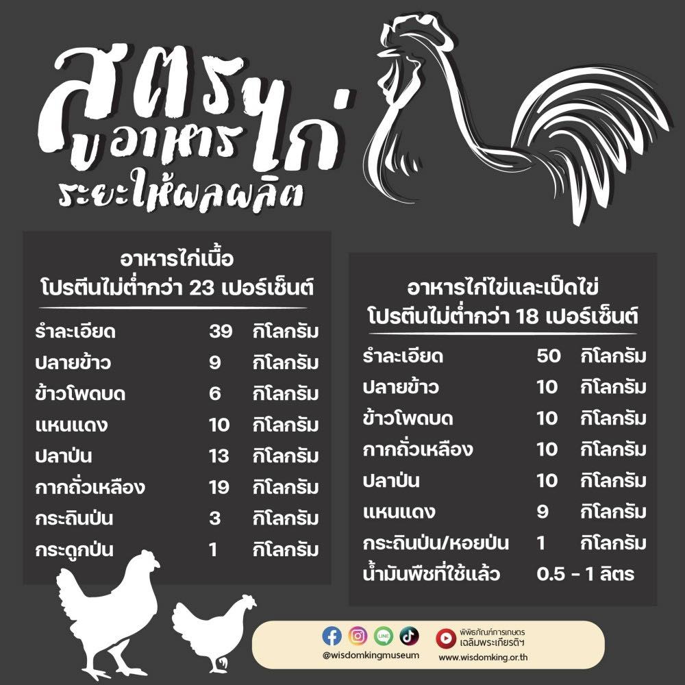 สูตรอาหารไก่