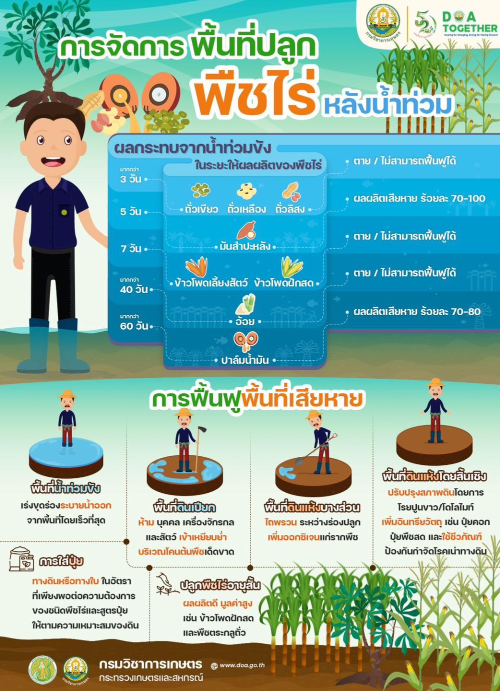 การจัดการพื้นที่ปลูกพืชไร่หลังน้ำท่วม
