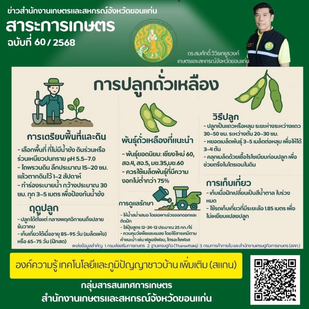 การปลูกถั่วเหลือง