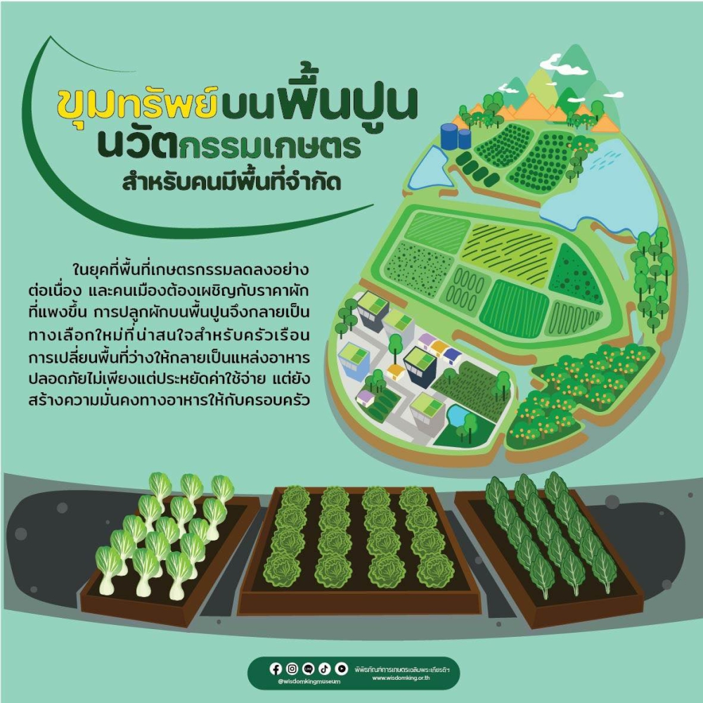 ขุนทรัพย์บนพื้นปู