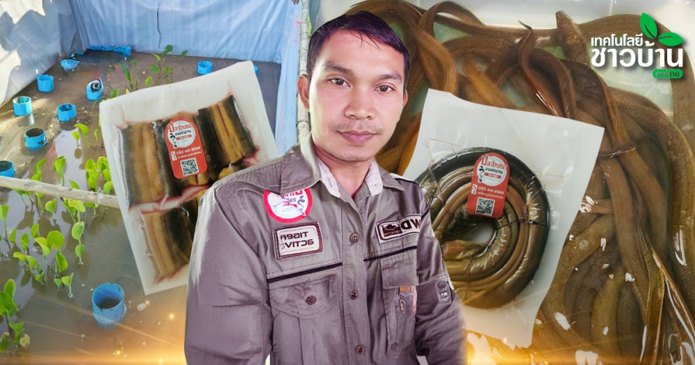 ทำฟาร์มต้องรู้ตลาด
