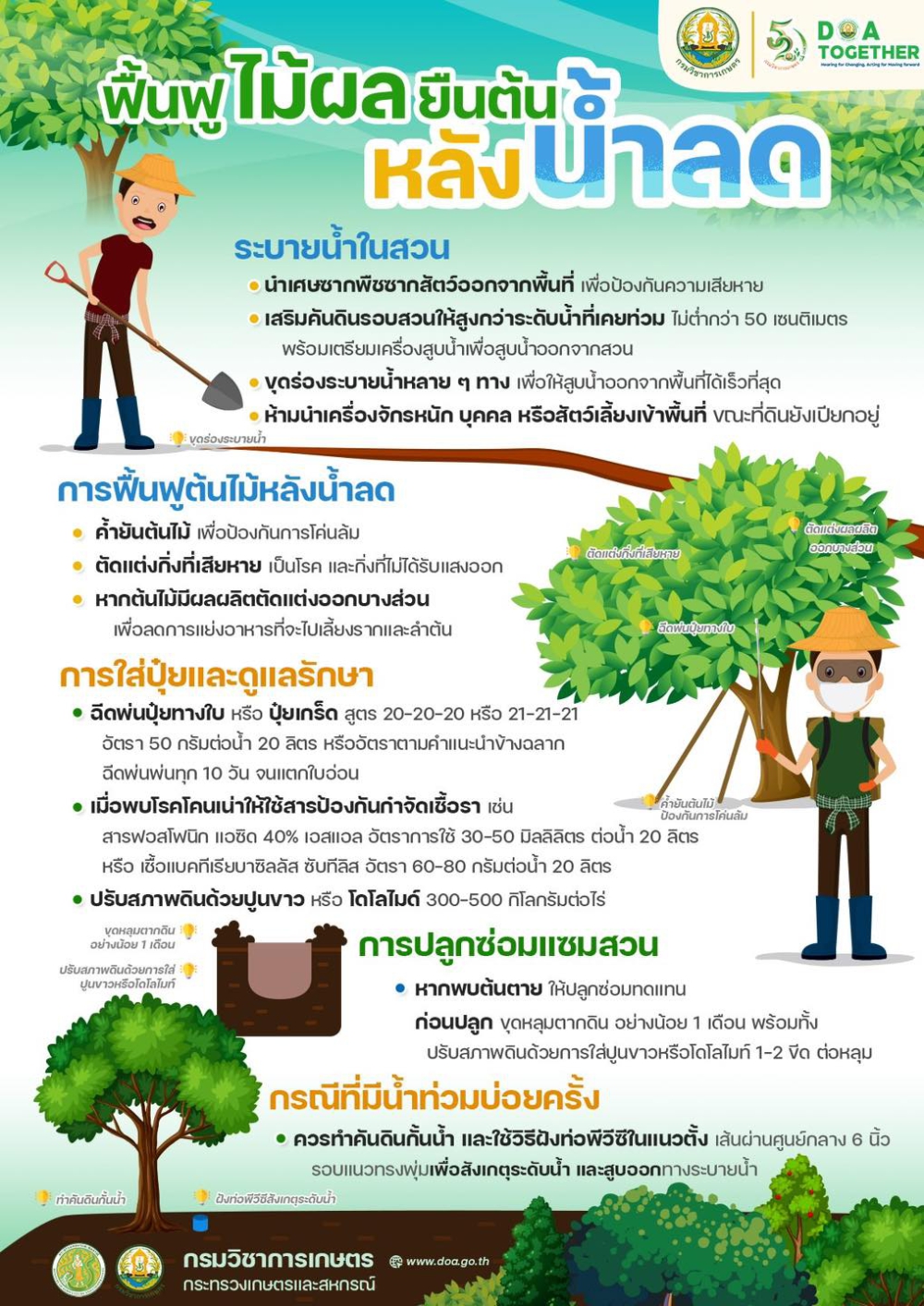 ฟื้นฟูไม้ผลยืนต้นหลังน้ำลด