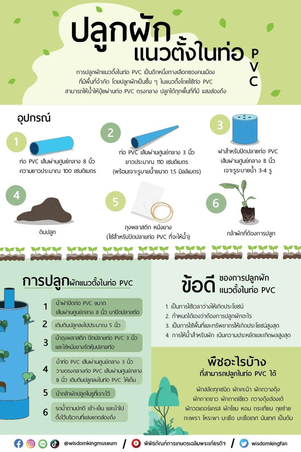 การปลูกผักแนวตั้งในท่อ PVC