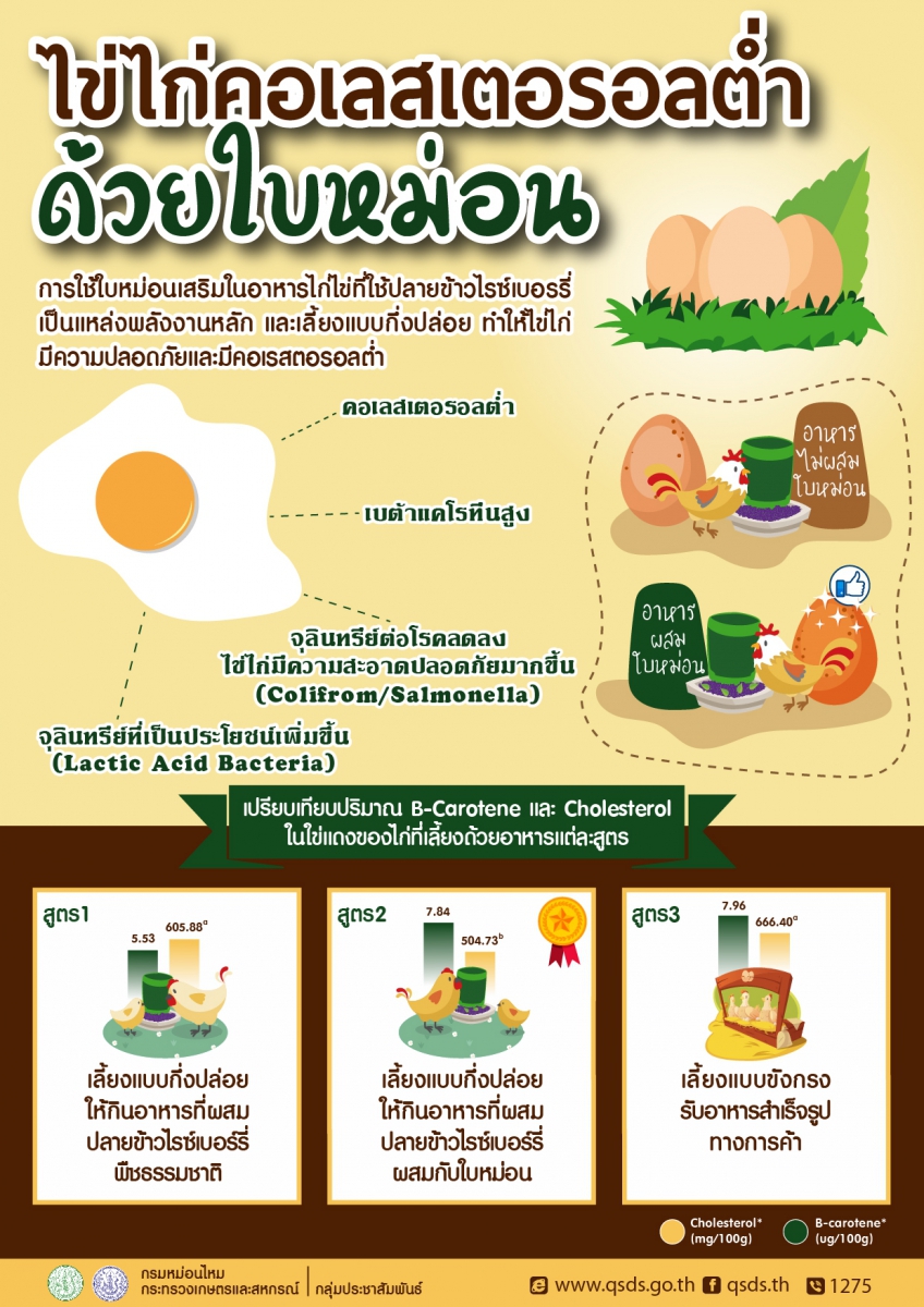 ไข่ไก่คอเลสเตอรอลต่ำด้วยใบหม่อน