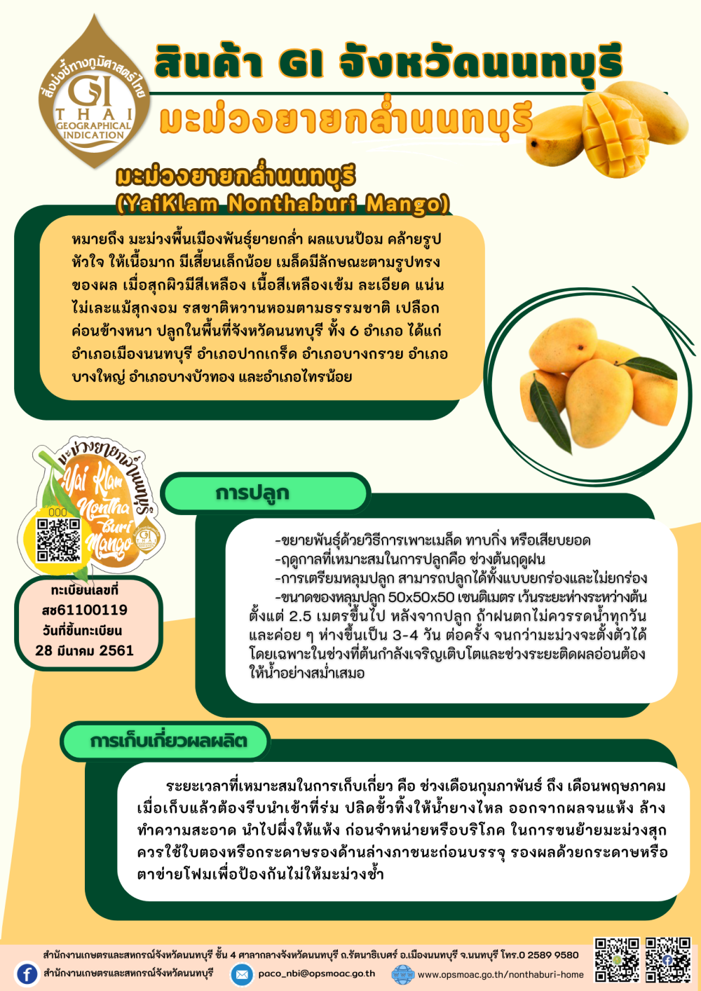 สินค้า GI นนทบุรี มะม่วงยายกล่ำ