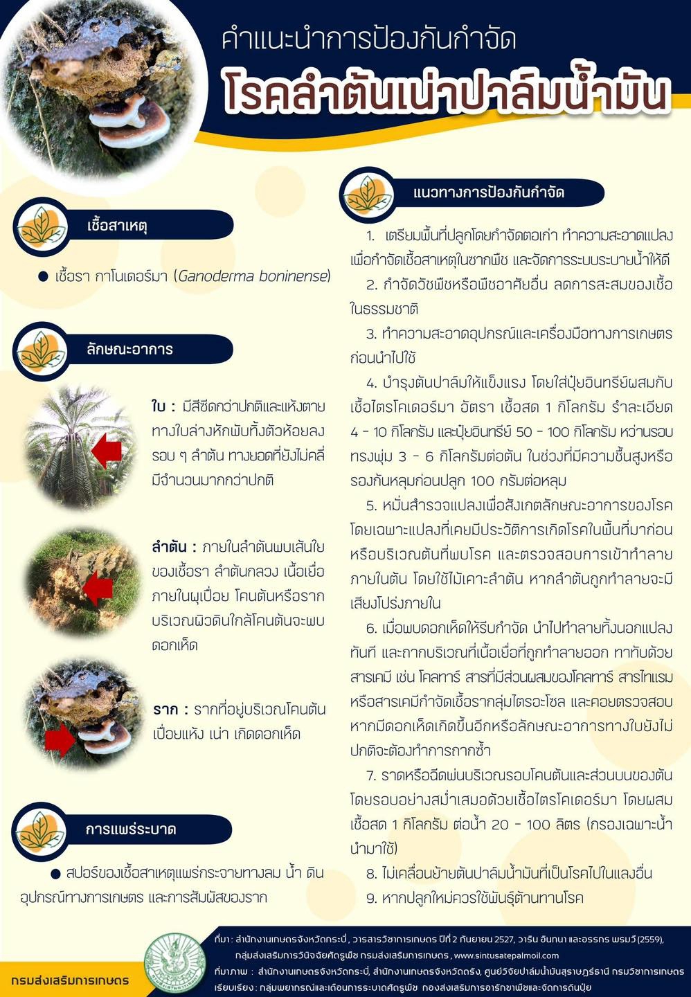โรคลำต้นเน่าปาล์มน้ำมัน
