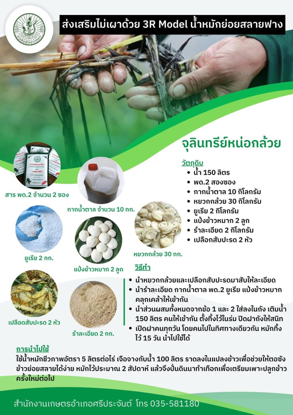 จุลินทรีย์หน่อกล้วย
