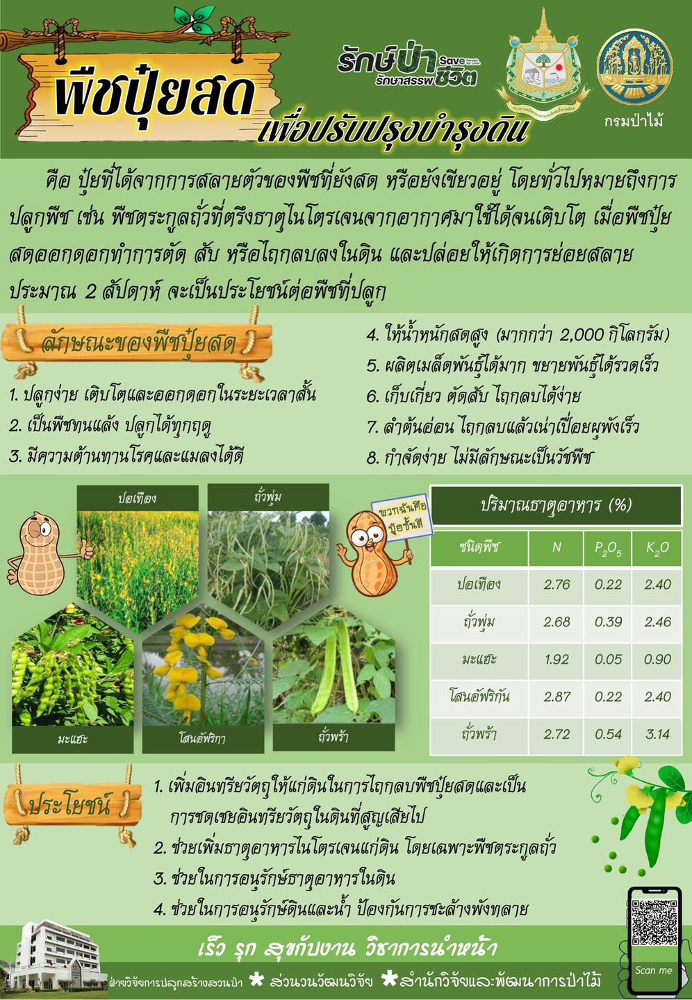 ปุ๋ยพืชสด