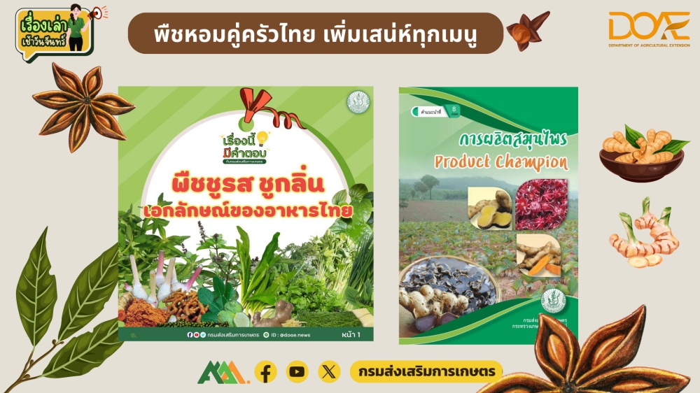 พืชหอมคู่ครัวไทย เพิ่มเสน่ห์ทุกเมนู