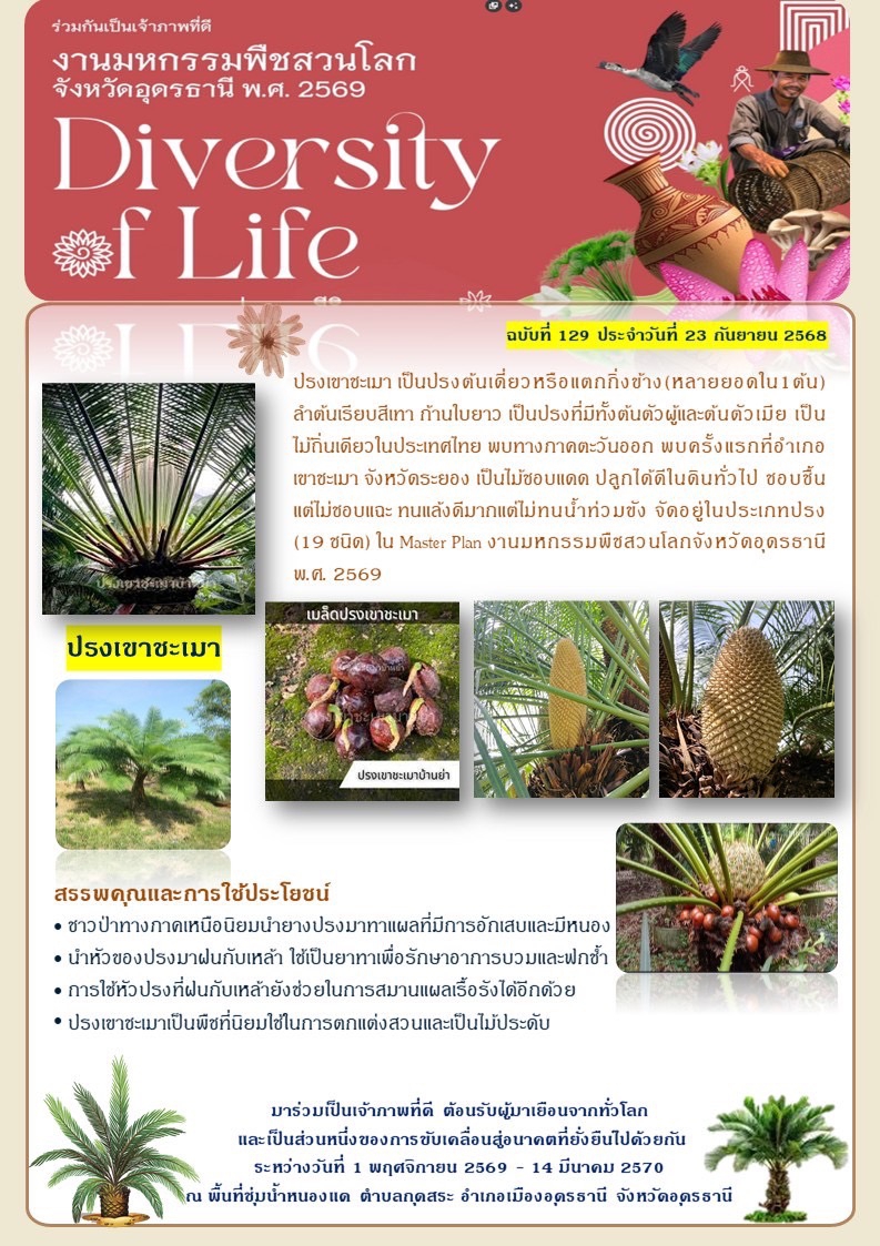 ร่วมกันเป็นเจ้าภาพที่ดี