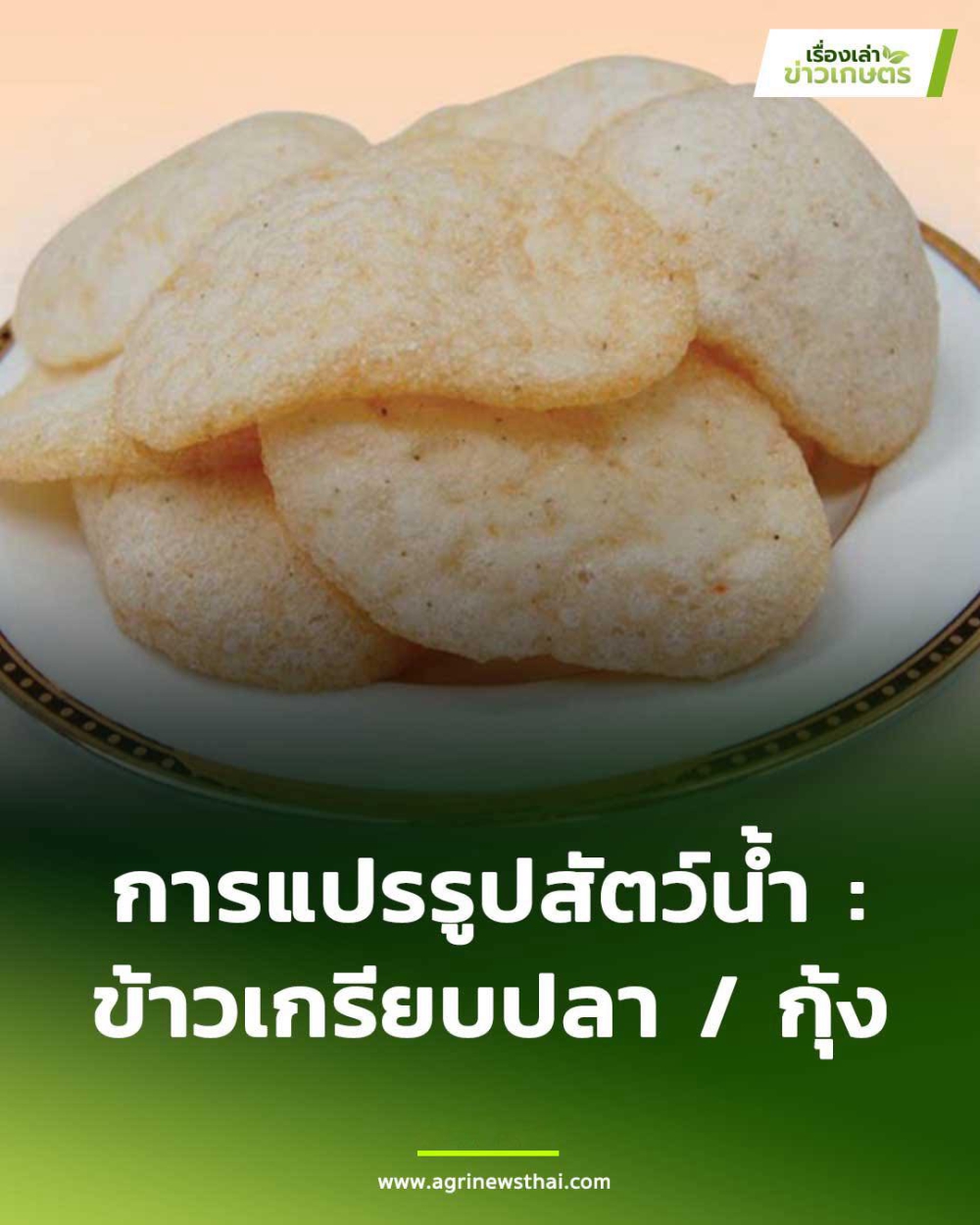 การแปรรูปสัตว์น้ำ : ข้าวเกรียบปลา/กุ้ง
