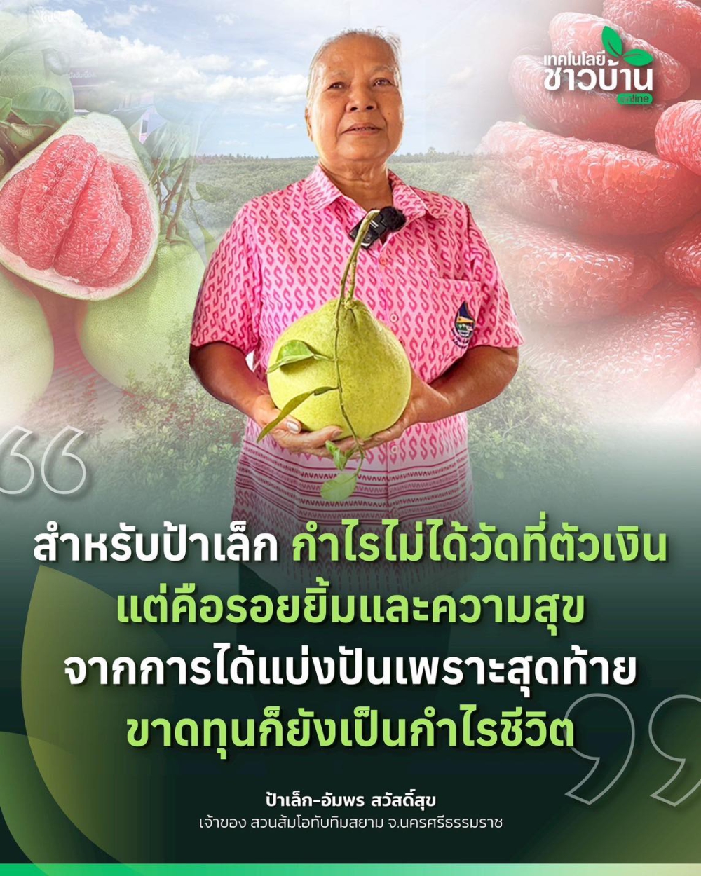 เคล็ดลับสร้างสวนเล็กให้ดังไกล