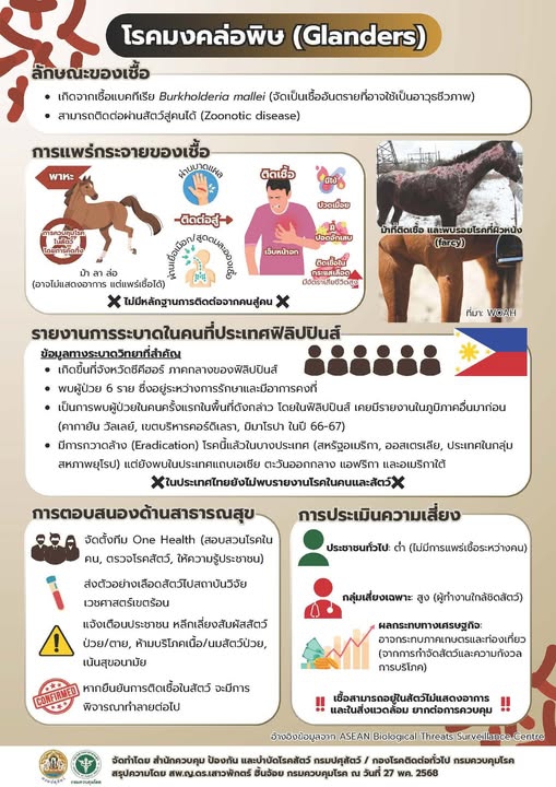 โรคมงคล่อพิษ (Glanders)