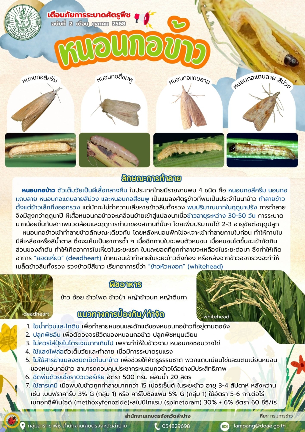 ประชาสัมพันธ์เตือนภัยการระบาดของศัตรูข้าว