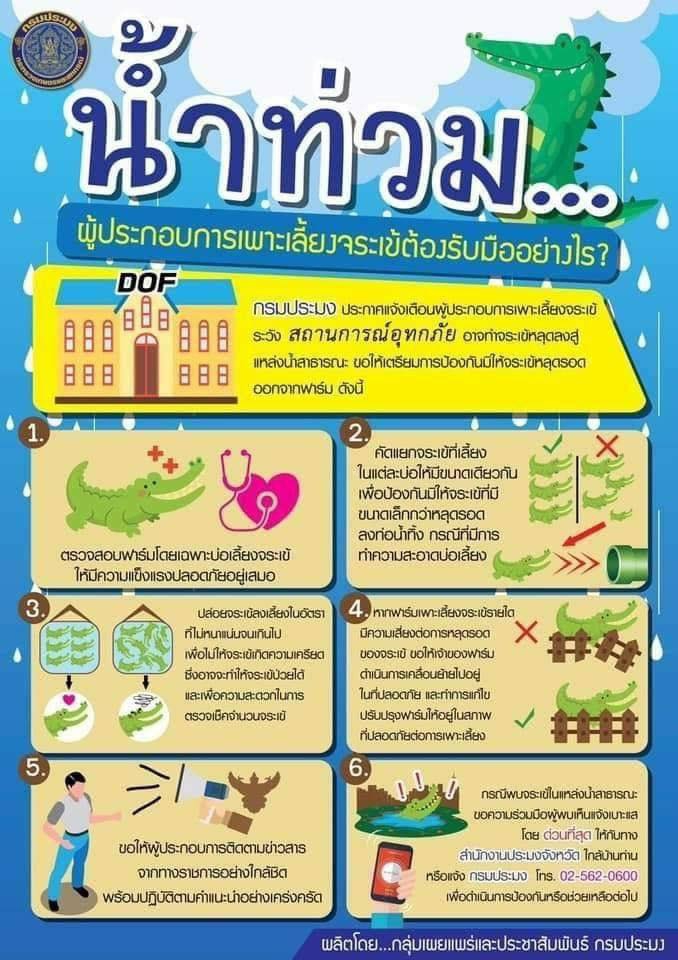 น้ำท่วม!ผู้ประกอบการเพาะเลี้ยงจระเข้ต้องรับมืออย่างไร