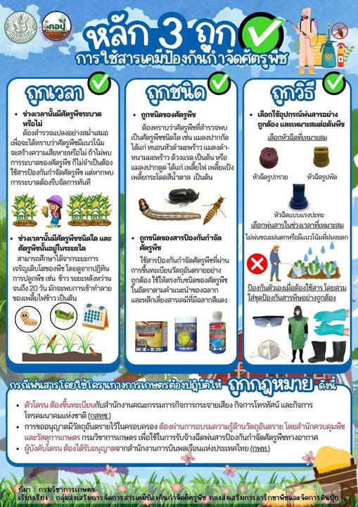 หลัก 3 ถูก การใช้สารเคมีป้องกันกำจัดศัตรูพืช.