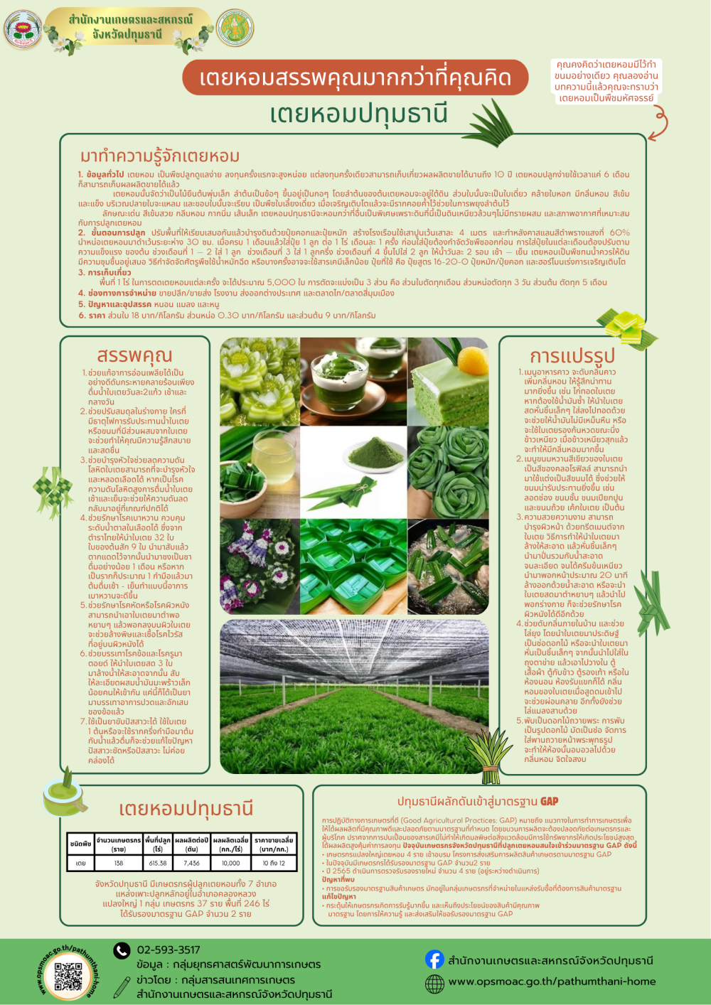 บทความเตยหอม