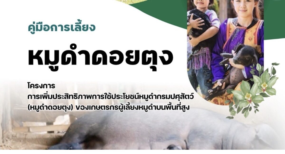 คู่มือการเลี้ยงหมูดำดอยตุง กรมปศุสัตว์