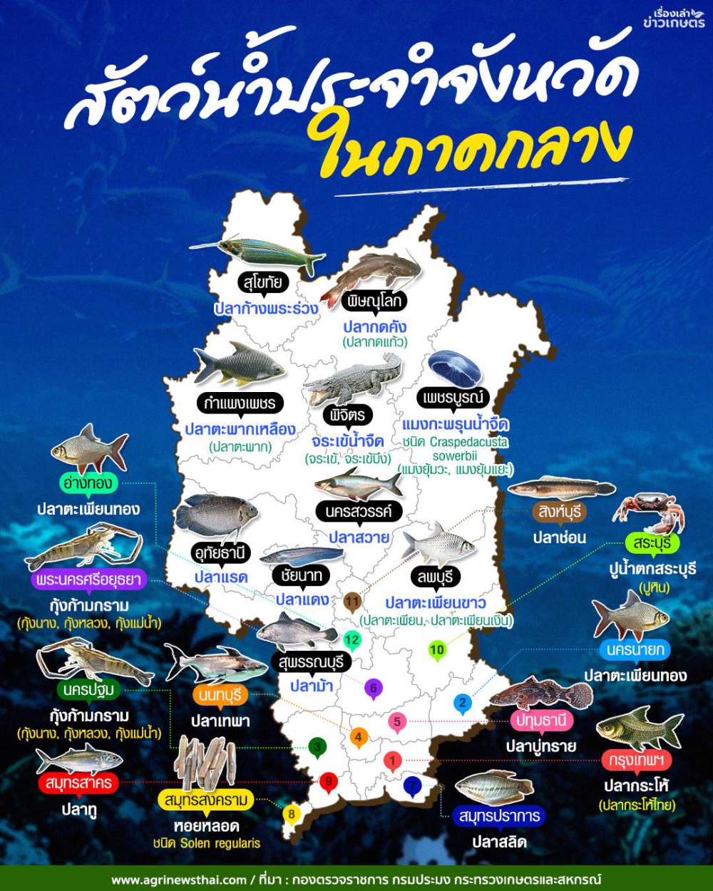 สัตว์น้ำประจำจังหวัด ภาคกลาง