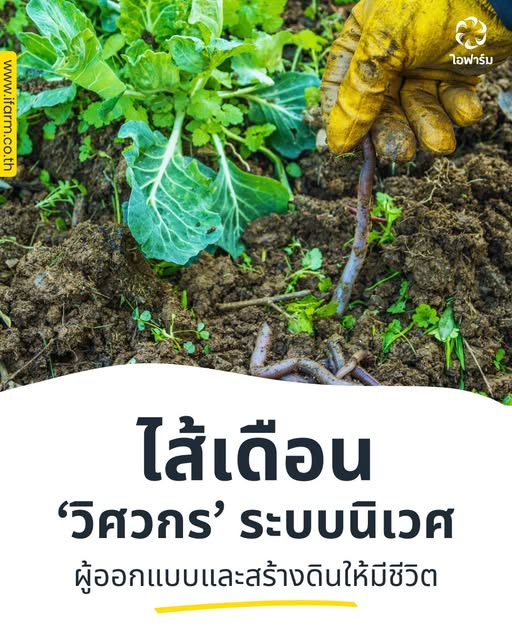 ไส้เดือนกับระบบนิเวศ