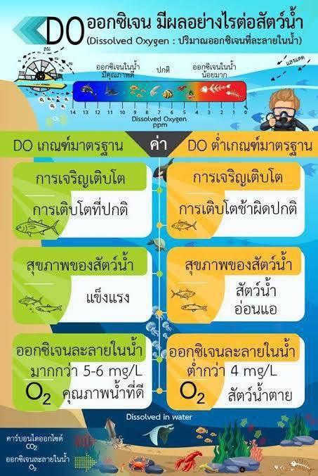 ออกซิเจนในน้ำคืออะไร ทำไมต้องวัดออกซิเจนในน้ำ