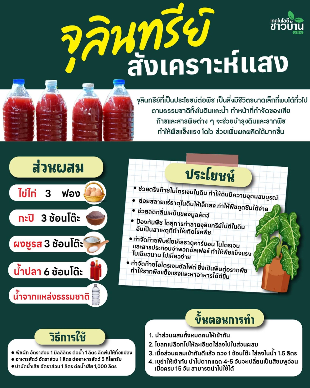 ประโยชน์ของจุลินทรีย์สังเคราะห์แสง
