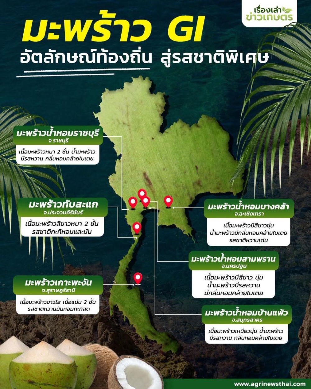 ปักหมุดมะพร้าว GI มีที่ไหนบ้าง?