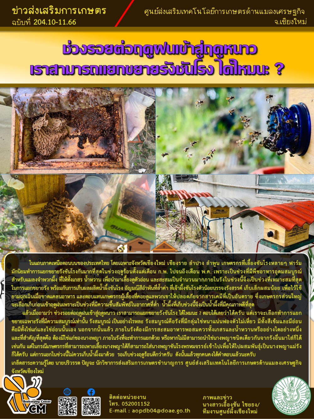 แยกขยายรังชันโรง ช่วงรอยต่อฤดูฝนเข้าสู่ฤดูหนาว