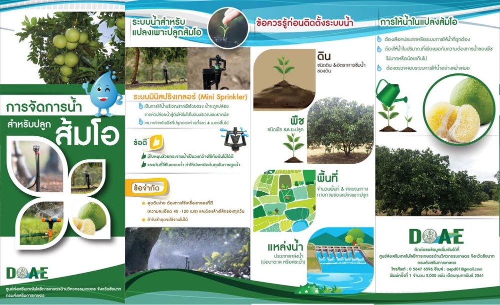 การจัดการน้ำส้มโอ