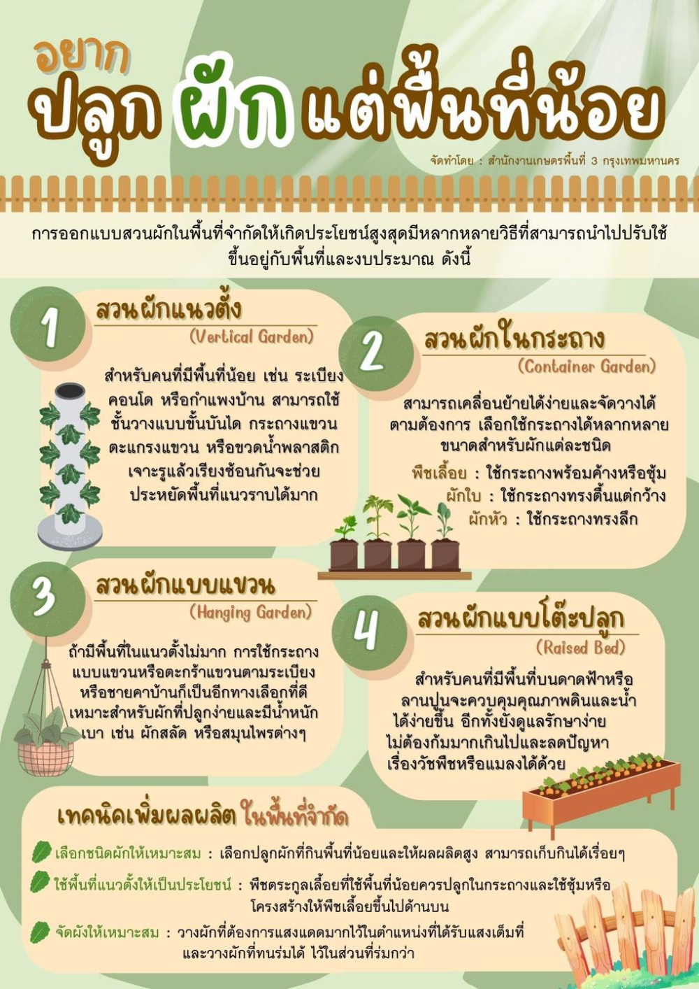 วิธีการปลูกผักในพื้นที่น้อย