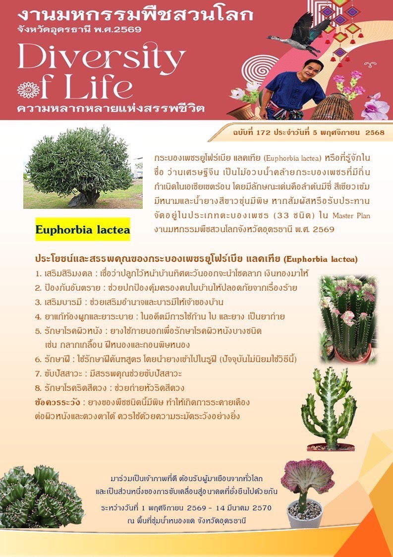 ร่วมกันเป็นเจ้าภาพที่ดี