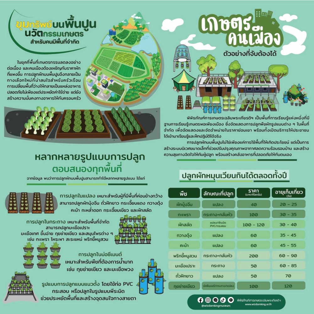 ขุมทรัพย์บนพื้นปูน