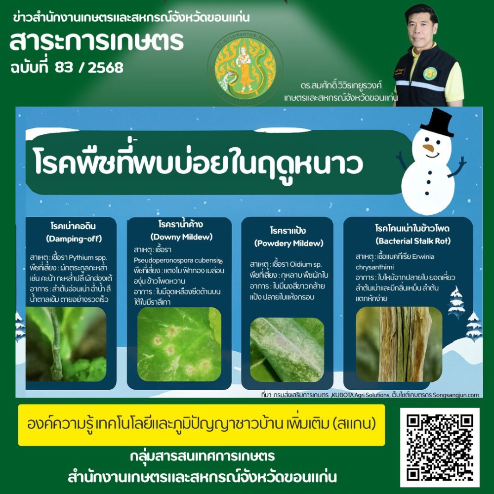 โรคพืชที่พบบ่อยในฤดูหนาว ที่เกษตรกรควรรู้