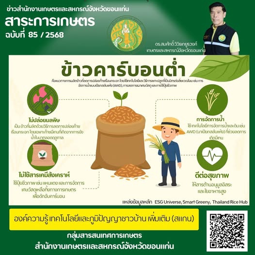 ข้าวที่กำลังเป็นกระแส