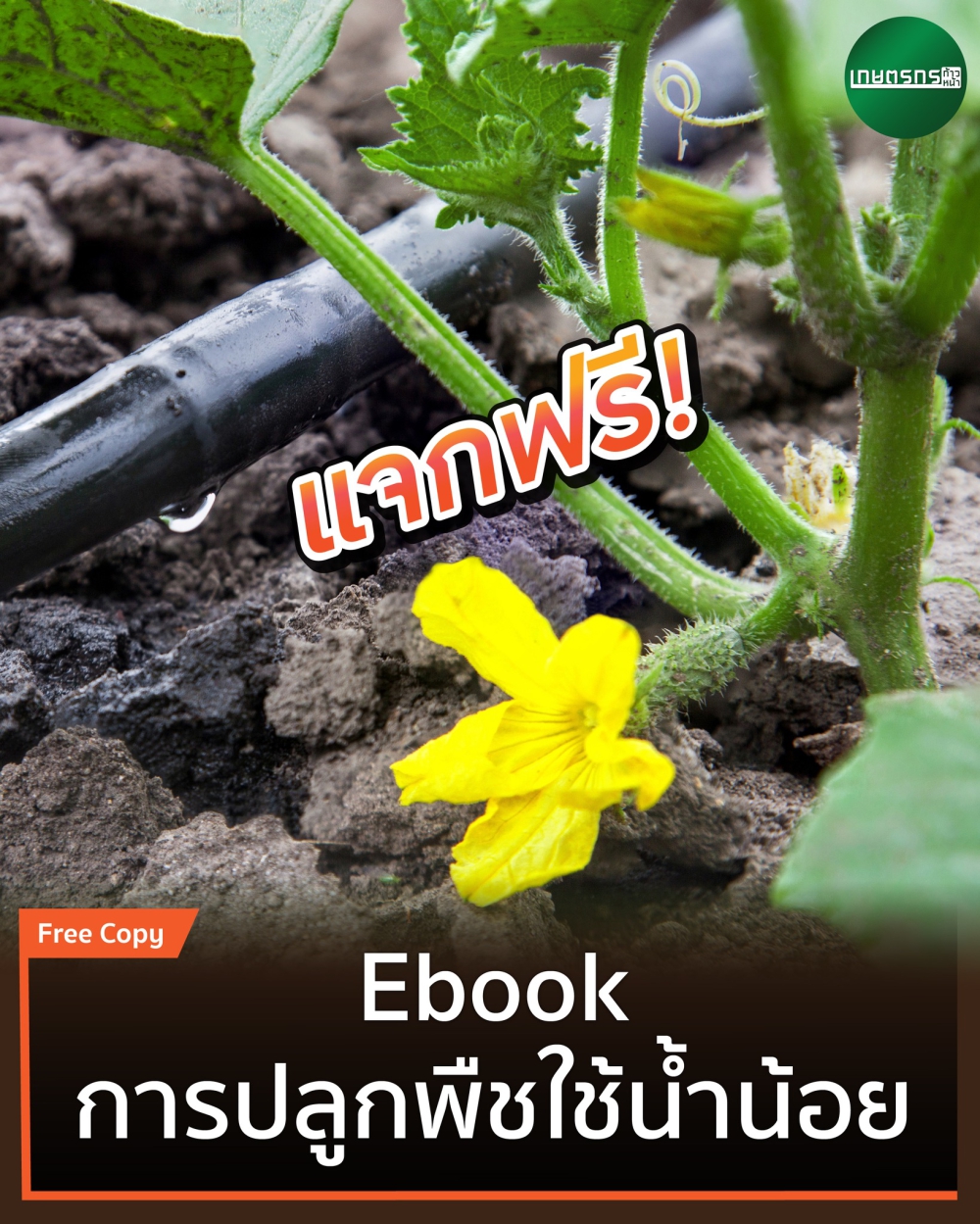 แจกฟรี  Ebook การปลูกพืชใช้น้ำน้อย