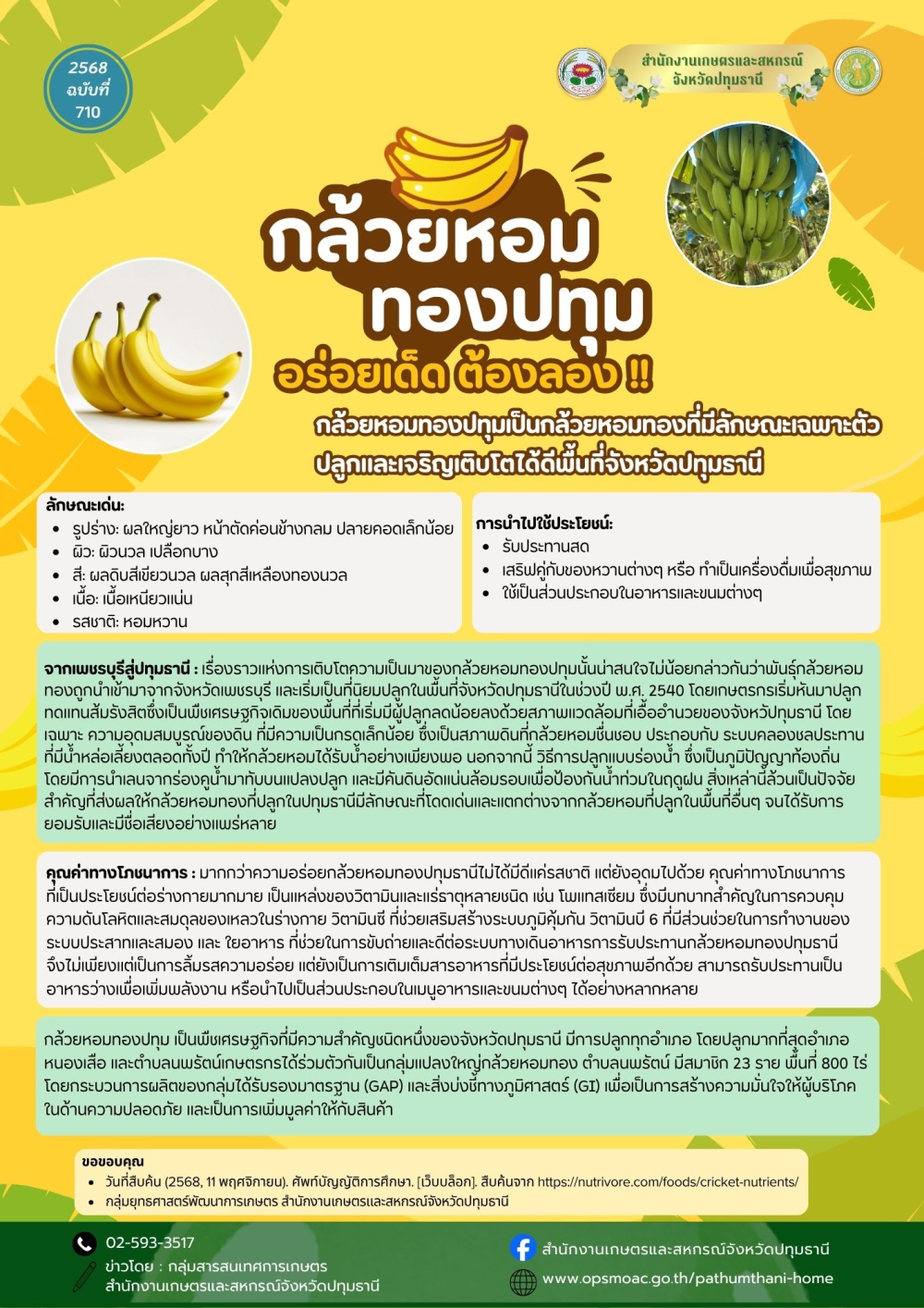 กล้วยหอมทองปทุม ที่มา คุณประโยชน์