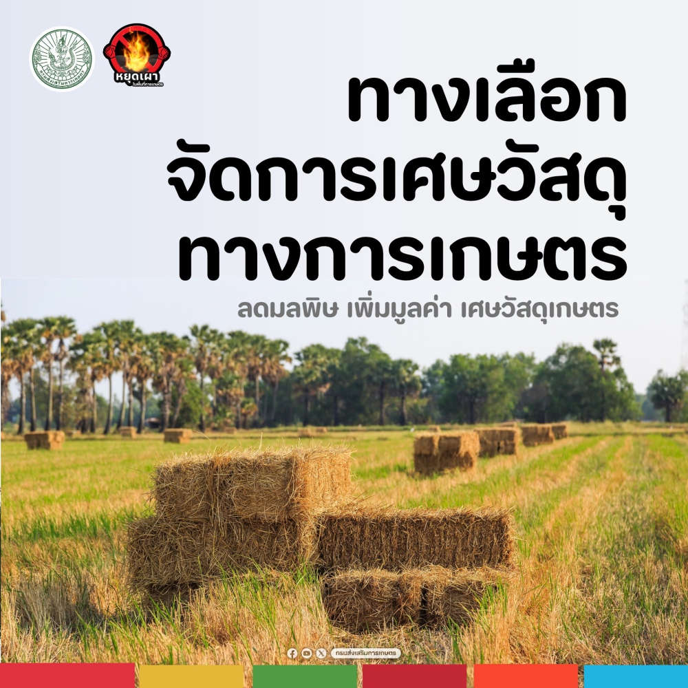 เกษตรกรไทยมี “ทางเลือกมากกว่าเผา”