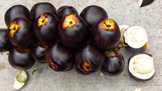 เพิ่มมูลค่าผลตาลโตนดสุกแปรรูปเป็น“ผงแป้งตาลโตนด