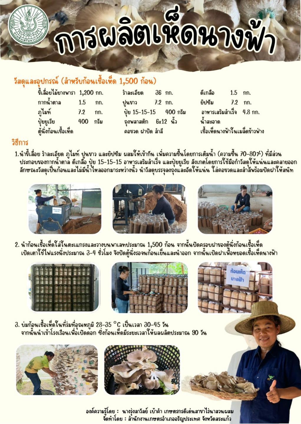 การผลิตเห็ดนางฟ้า