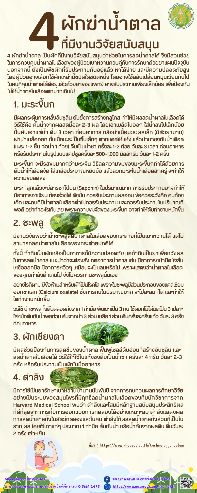 4 ผักฆ่าน้ำตาล ที่มีงานวิจัยสนับสนุน