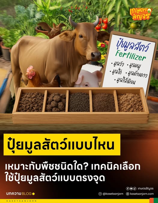 ปุ๋ยมูลสัตว์แบบไหน เหมาะกับพืชชนิดใด