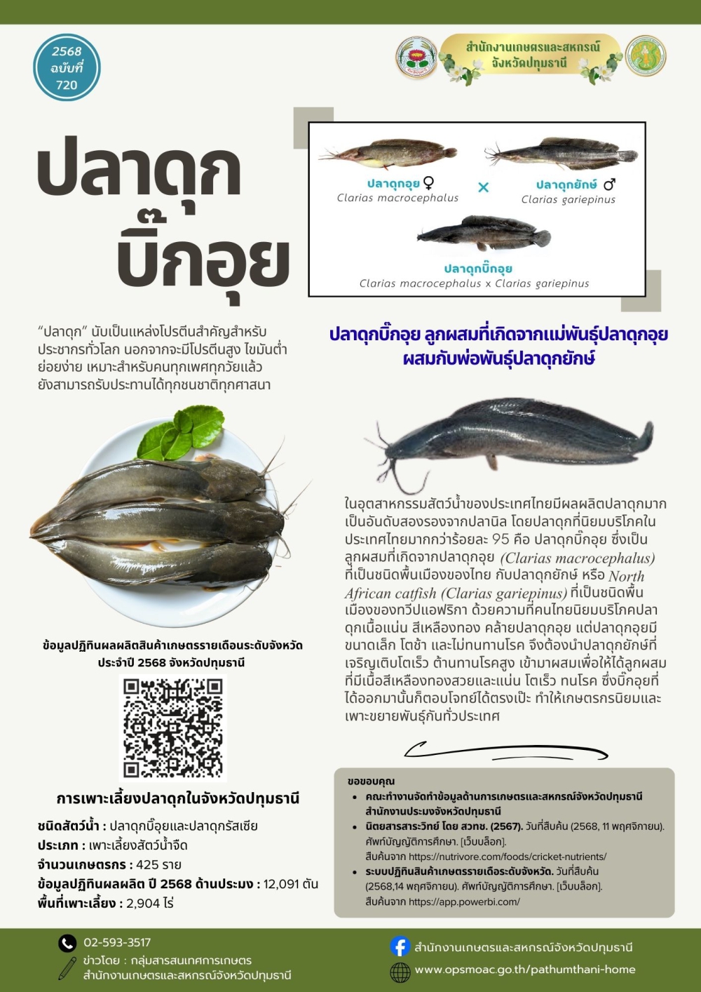 ทำไมต้องปลาดุกบิ๊กอุย